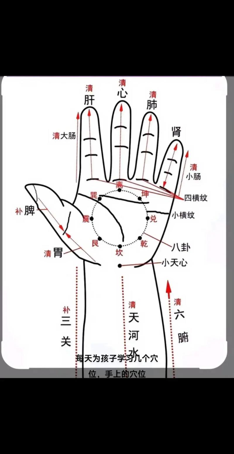 小儿推拿手部穴位图片