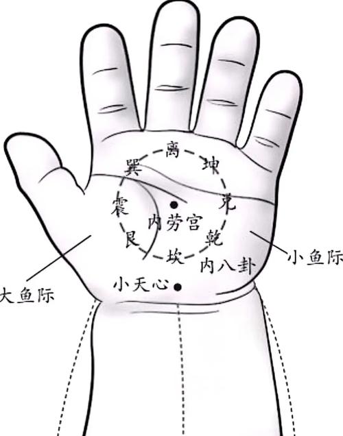 小儿推拿手部穴位图片