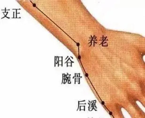 预防老年痴呆按摩穴位