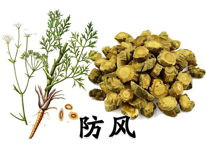 类风湿性关节炎中草药