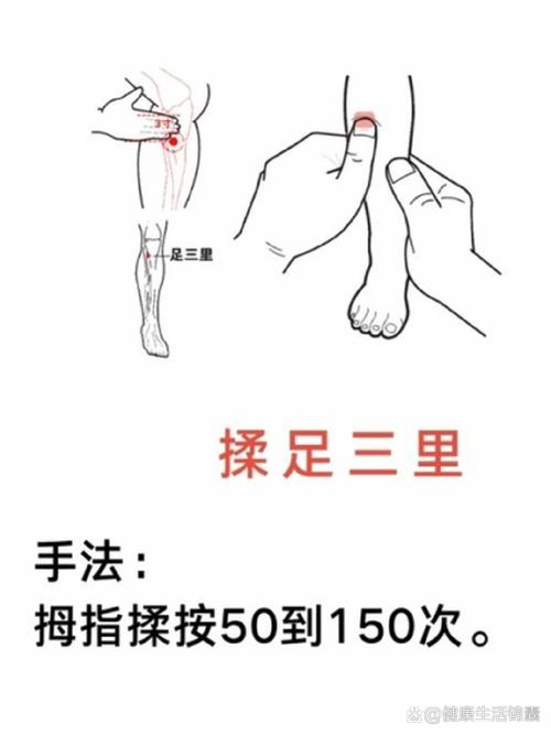 小儿推拿下肢部穴位图