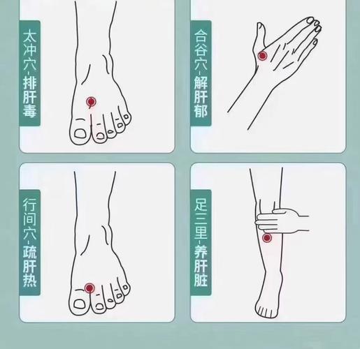 春季养肝艾灸什么穴位