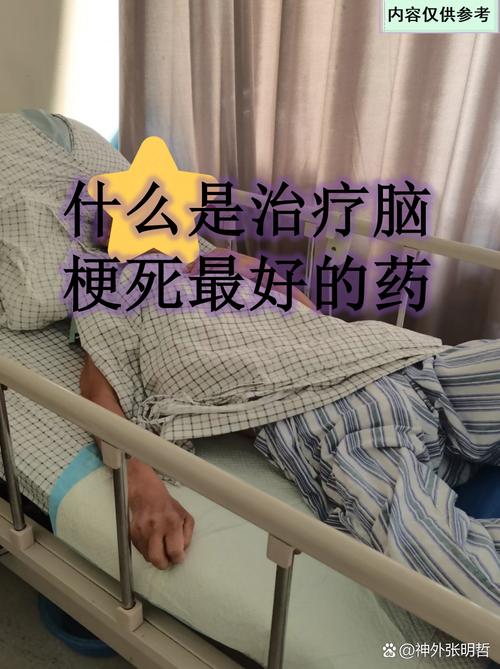 脑梗 肺炎 放弃治疗