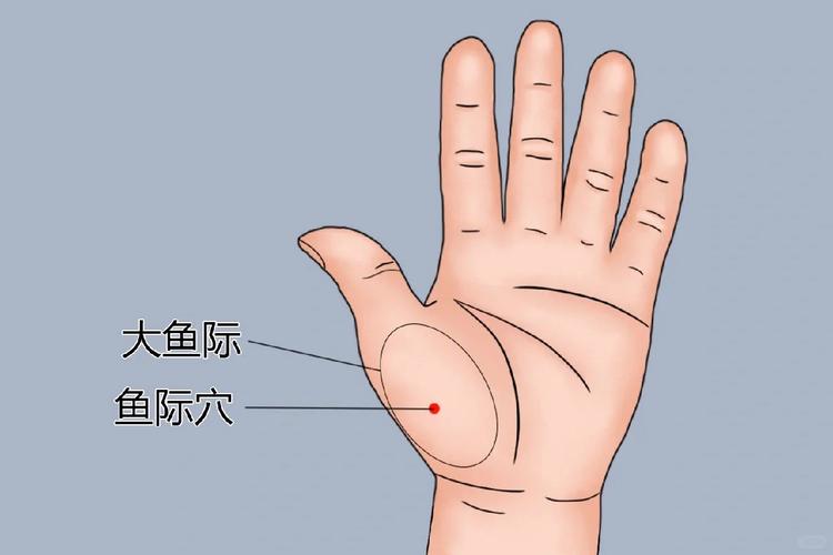 拉肚子按手上哪个穴位