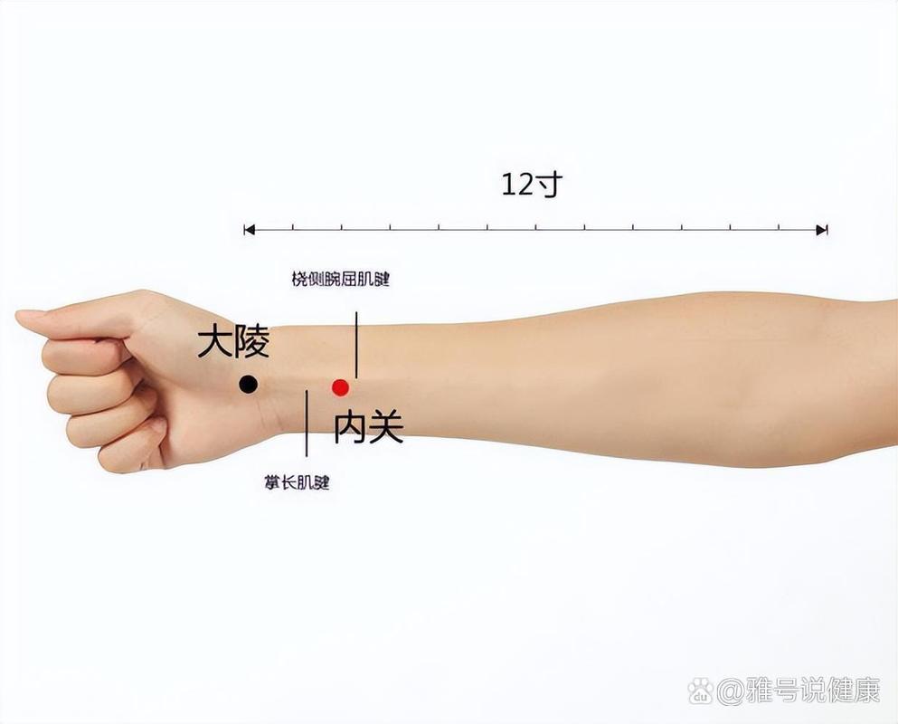 支气管扩张按哪个穴位