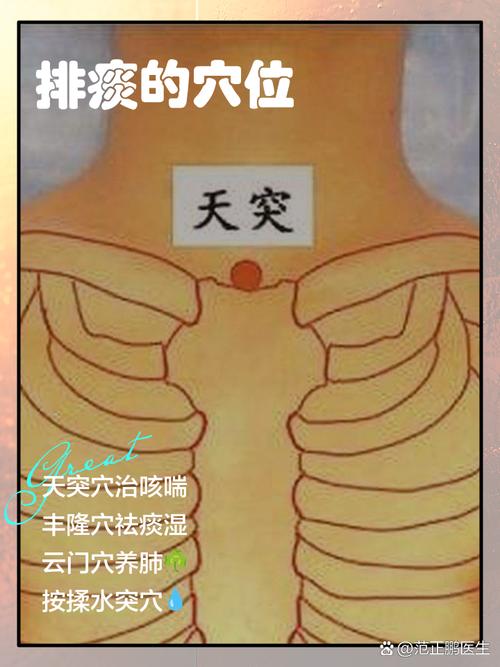 支气管扩张按哪个穴位