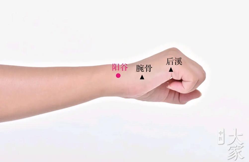 手太阳小肠经穴位位置