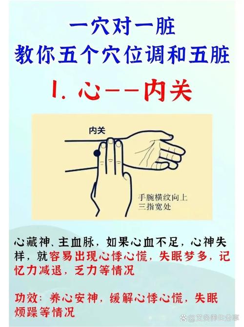 中医护理操作常用穴位