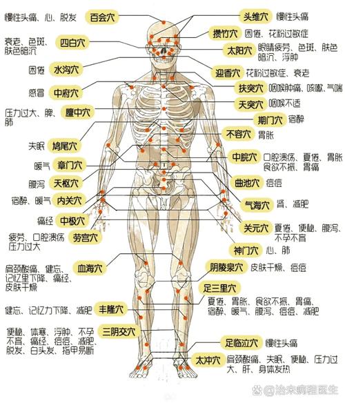 人体最重要的穴位艾灸