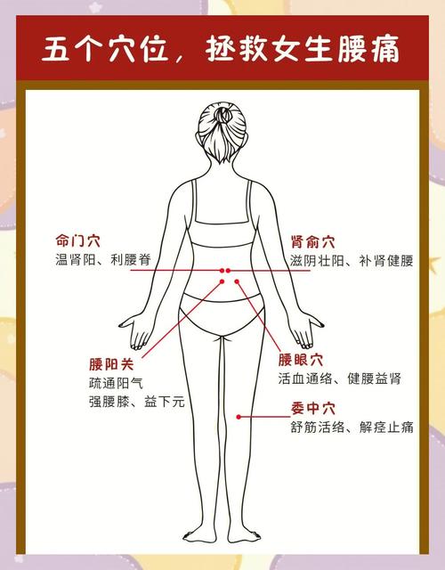 腰酸背痛按摩哪个穴位