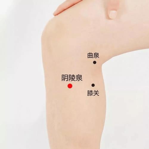 让男人马上勃起的穴位