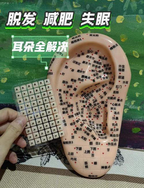 耳穴减肥都贴哪个穴位