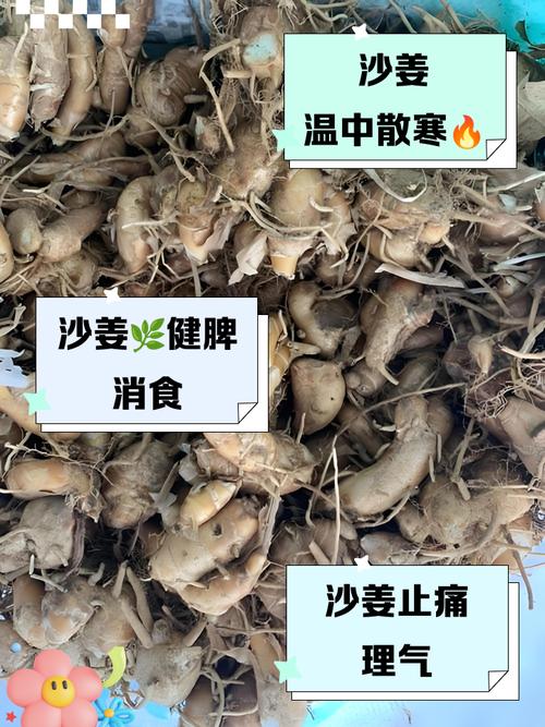 类风湿病人可以吃姜吗