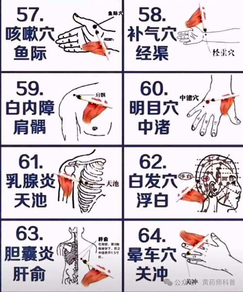 常见病特效穴位全图解