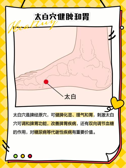太白穴位位置图及功效