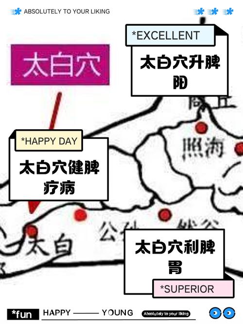 太白穴位位置图及功效