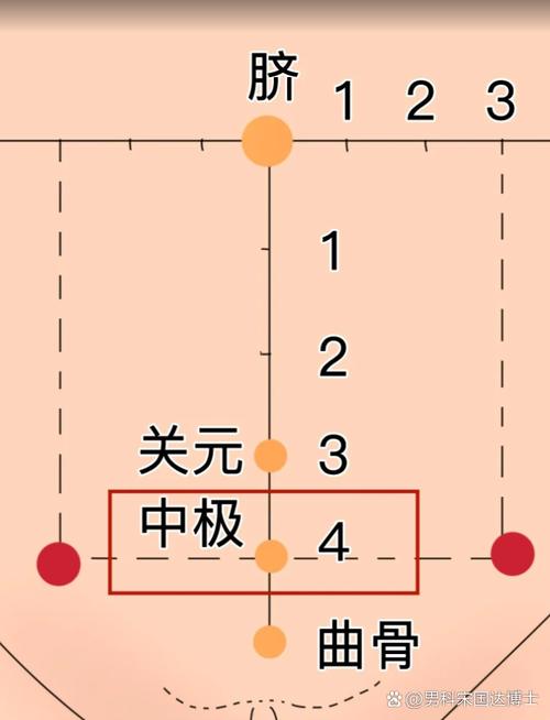 前列腺炎按摩哪个穴位