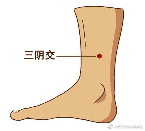 前列腺炎按摩哪个穴位