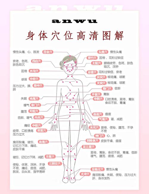 人体经络穴位图解大全