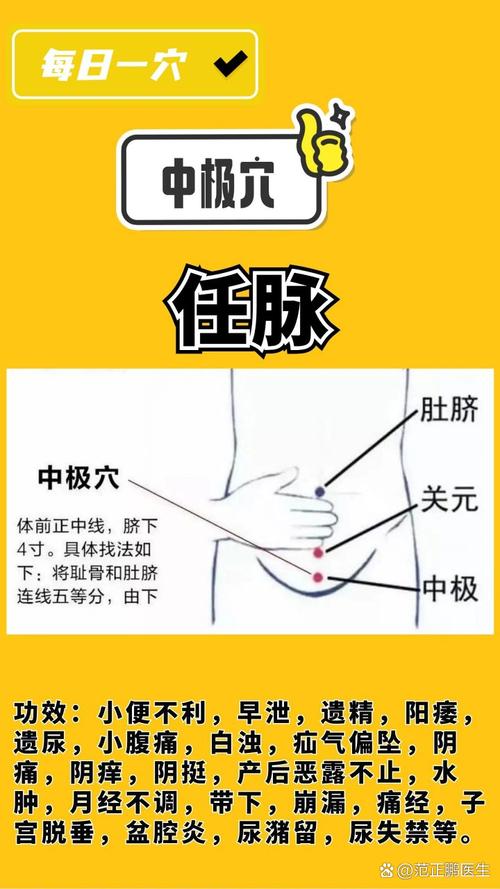 肚脐正后方是什么穴位