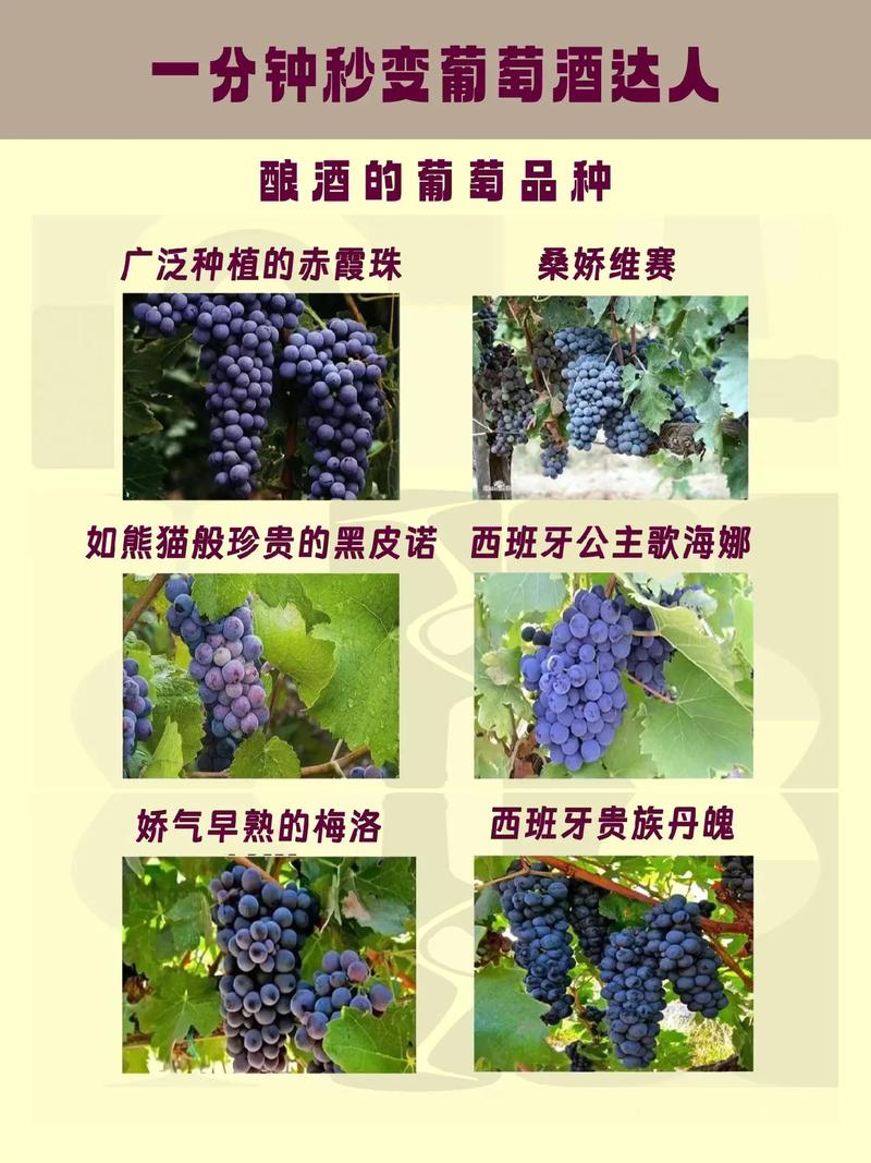 红酒对脑梗有好处吗脑