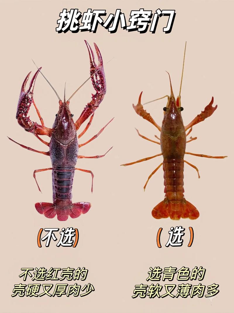 类风湿能不能吃小龙虾