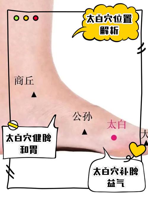 白癜风穴位是哪个穴位