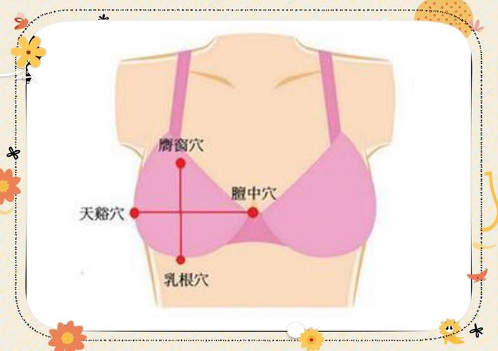 两乳房中间是什么穴位