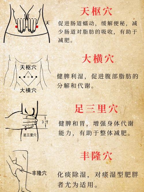 穴位减肥对身体有害吗