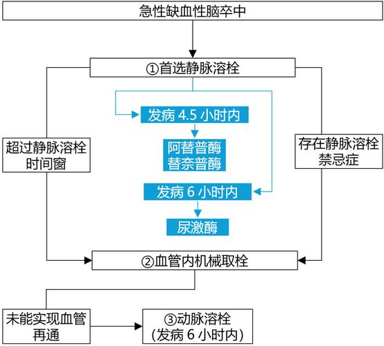脑桥急性脑梗怎么治疗