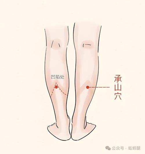 静脉曲张按摩哪个穴位