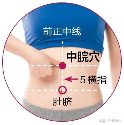 按摩哪个穴位可以减肥