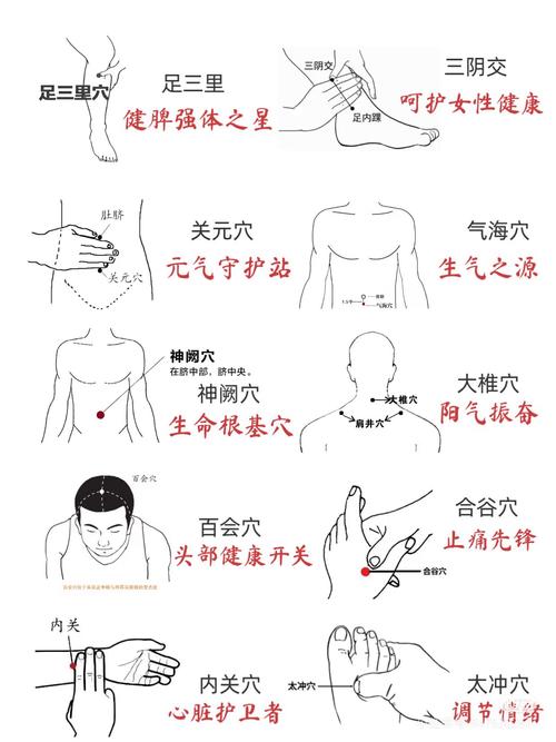 肚脐下三寸是什么穴位