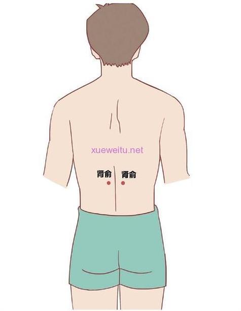 肾俞穴位的准确位置图