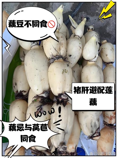 类风湿病可以吃莲藕吗