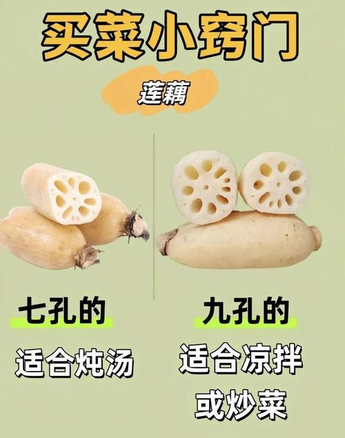 类风湿病可以吃莲藕吗