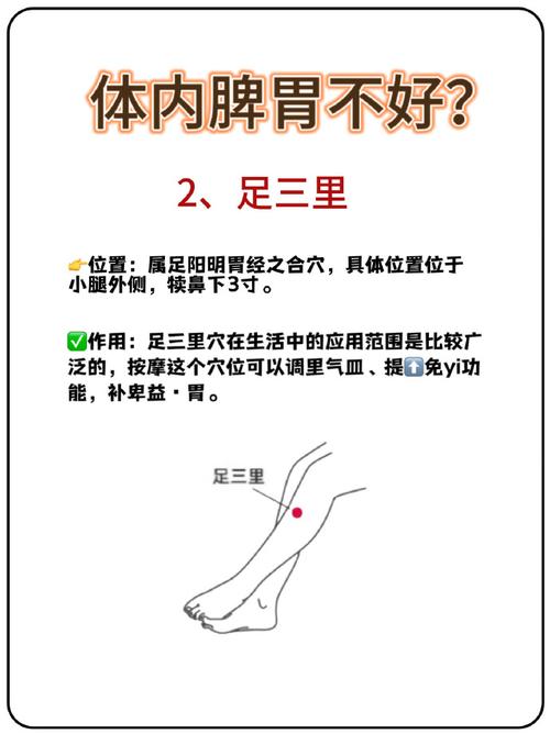 脾胃虚寒艾灸哪个穴位