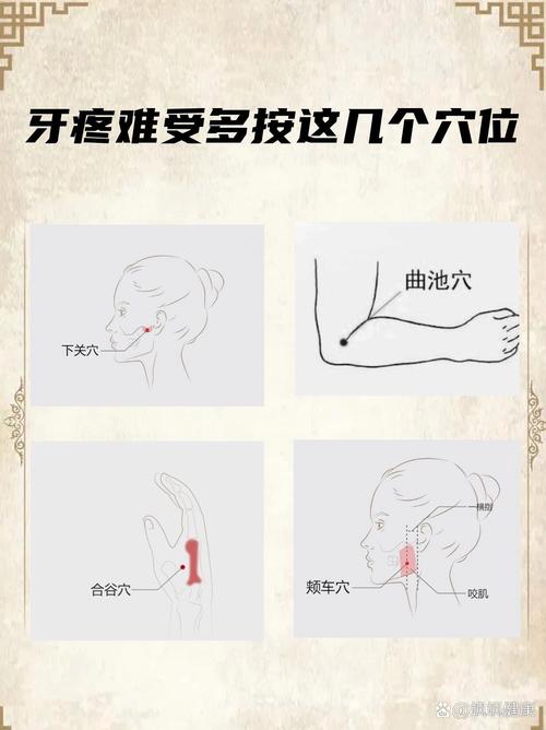 哪个穴位可以缓解牙疼