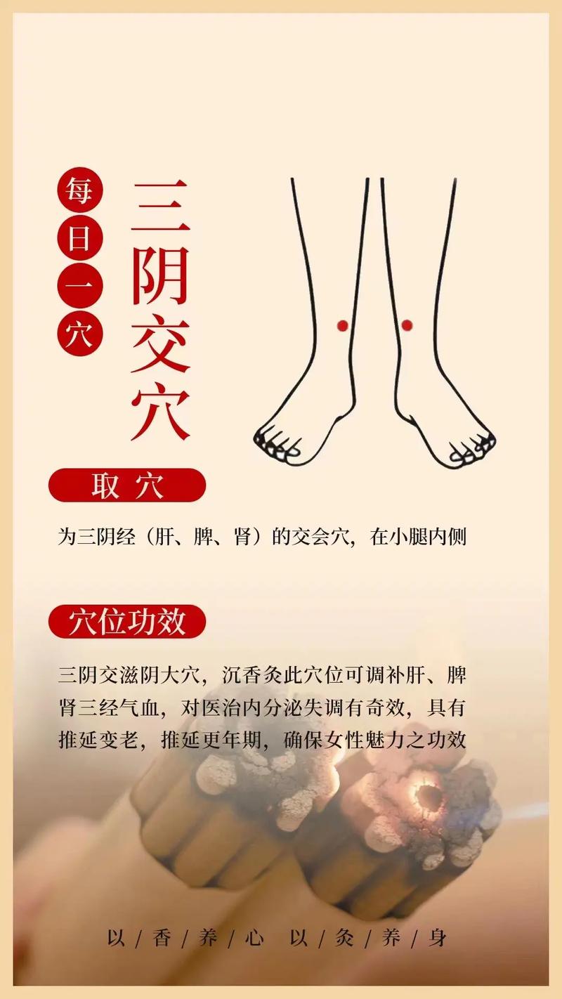 阴交穴位的准确位置