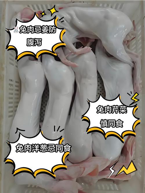 心梗脑梗的人能吃兔肉