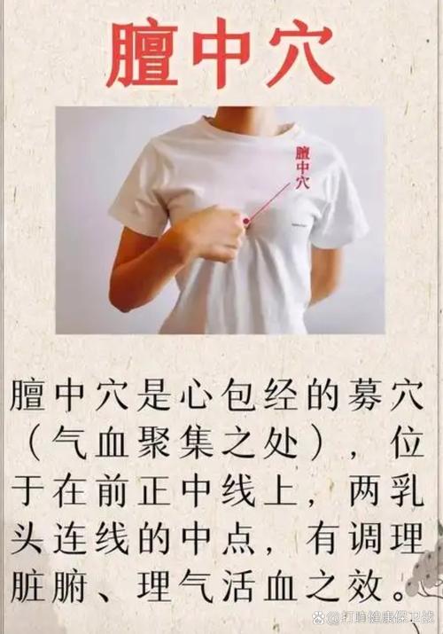 .胸部相关经络穴位