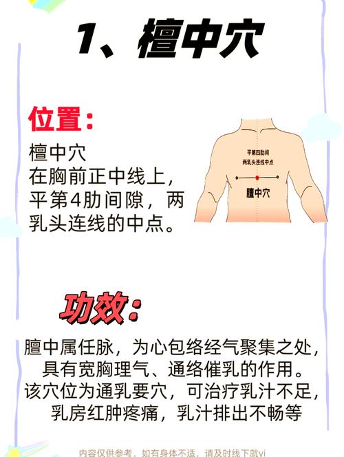 .胸部相关经络穴位