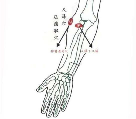小臂痉挛按什么穴位