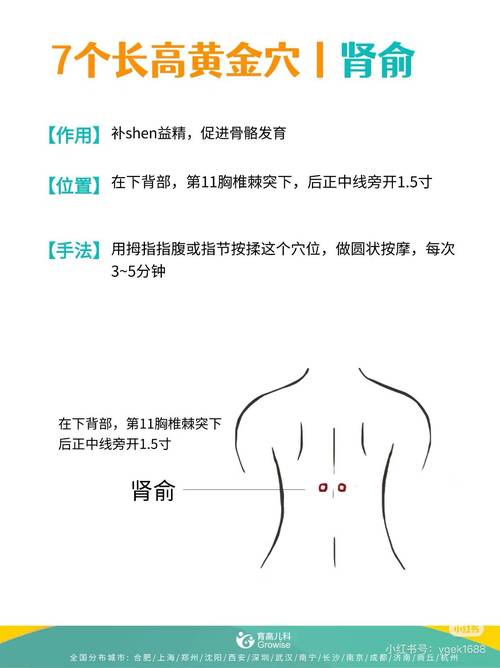 儿童增高针什么穴位