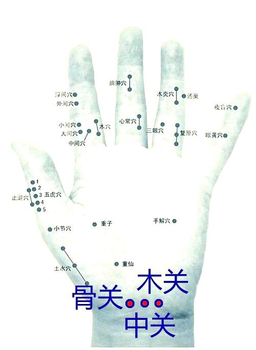 痛风哪个穴位止痛快