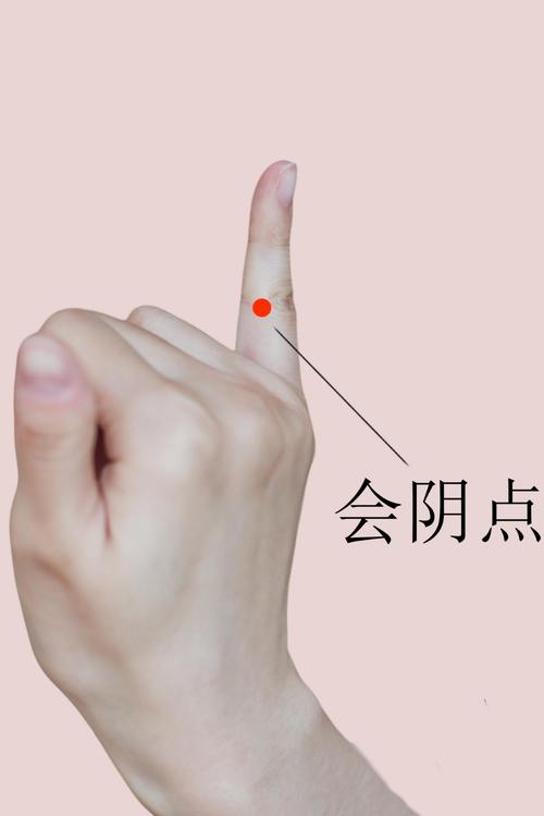 提高性欲按摩穴位图