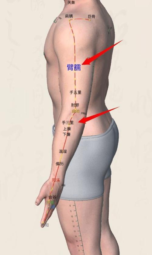 前臂痛艾灸哪个穴位