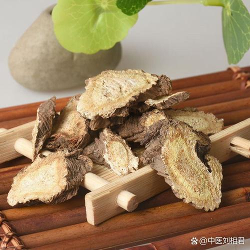 治风湿性心脏病的中药