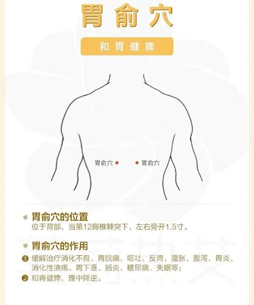 快速治脾胃虚弱穴位