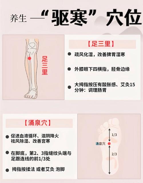 小腿冷艾灸什么穴位
